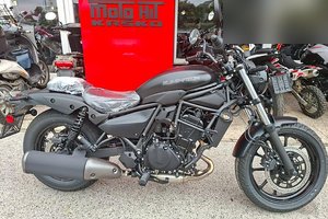 Kawasaki Eliminator 500 2026