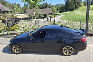 BMW 420 • 420i • 136 kW • 2018 • SPORT LINE